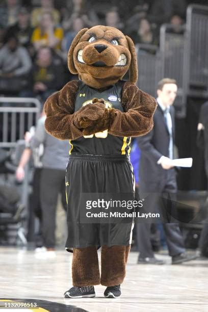 Umbc Mascot Photos and Premium High Res Pictures - Getty Images