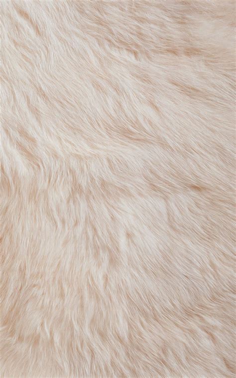 Pelo animal blanco | Phone Wallpaper | Pinterest | Wallpaper, Fur and Phone