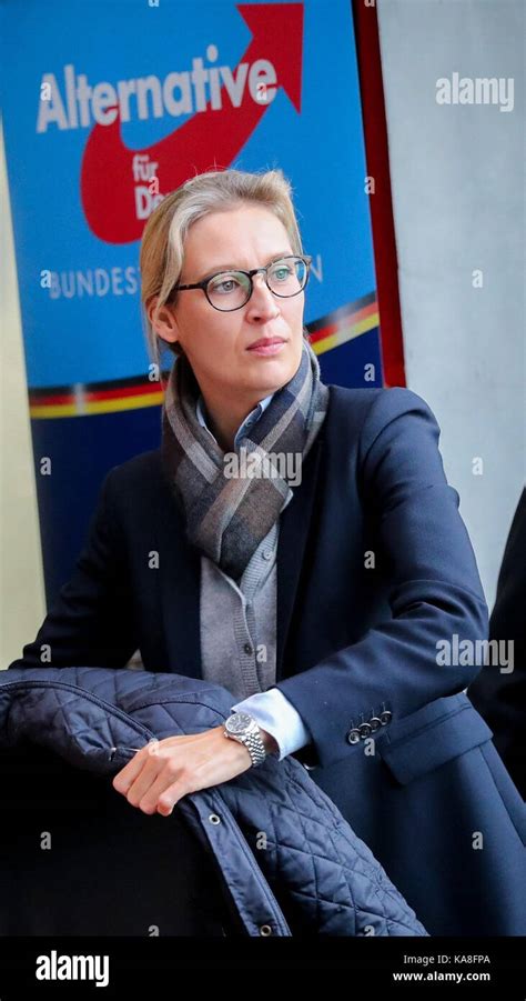 Alice weidel hi-res stock photography and images - Alamy