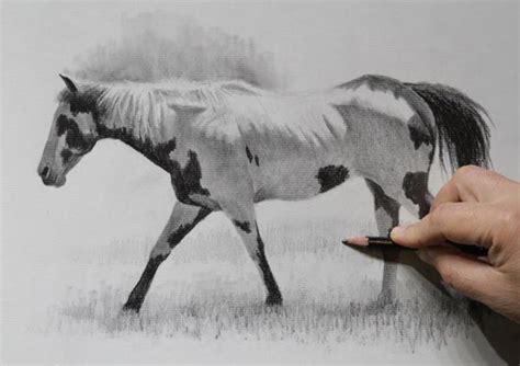 The Best Way to Draw a Realistic Horse in 8 Steps - My Sketch Journal