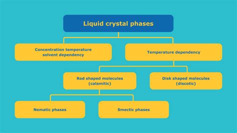 Liquid crystal phases