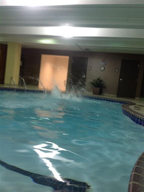 Millennium Hotel Minneapolis Pool: Pictures & Reviews - Tripadvisor