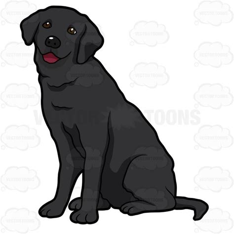 Side View Of A Black Labrador Sitting | Labrador illustration, Yellow lab puppies, Lab dogs