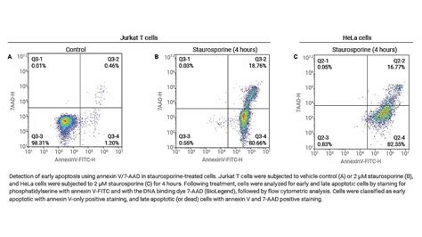 Great Flow Cytometry Reagent To Detect Cells In Apoptosis , 54% OFF