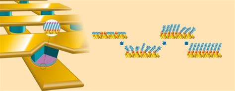 Self-assembled Monolayers