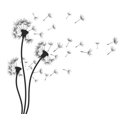 2,200+ Dandelion Seed Illustrations, Royalty-Free Vector Graphics ...