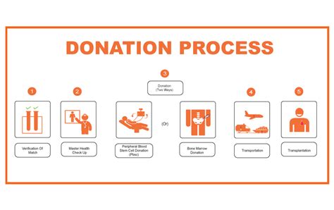 Donating Bone Marrow | Bone Marrow Donation Guide