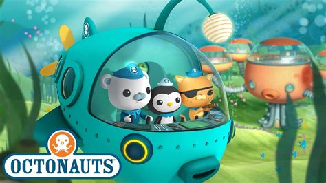 The Octonauts - Movies & TV on Google Play