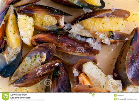 Soup with Oysters. Exotic Seafood Dishes. Stock Image - Image of ...