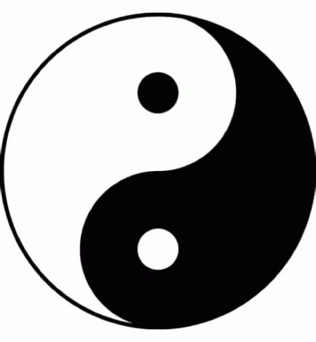 Yin And Yang Spinning GIF - Yin And Yang Spinning Zen - Descobrir e Compartilhar GIFs