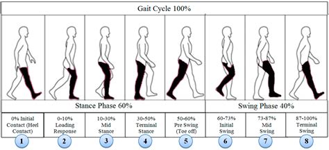 Sensors | Free Full-Text | An Automatic Gait Feature Extraction Method ...