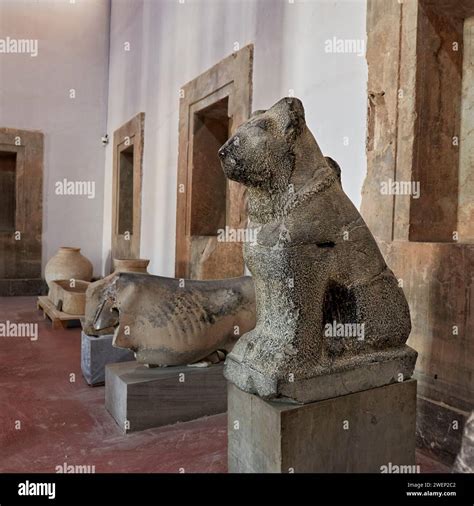 Ancient stone statue of a dog found in Persepolis and displayed in the Persepolis Museum ...