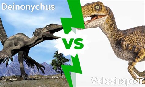 Deinonychus vs Velociraptor: Who Would Win in a Fight? - IMP WORLD