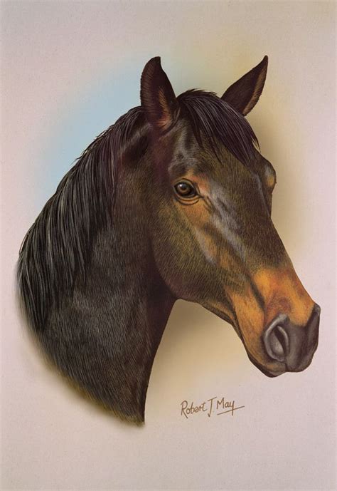 Horse Head Print | Horses, Dog breed art, Cat studying