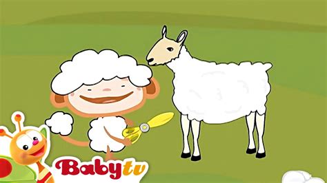 Oliver Descubre | BabyTV Español - YouTube