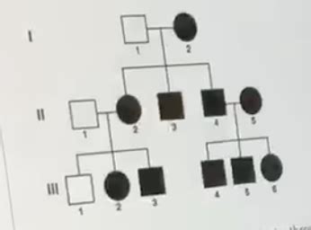 Solved The pedigree here tracks the presence of dimples | Chegg.com