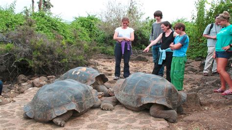 Galapagos Island Tours 2024 - Ashil Lurlene