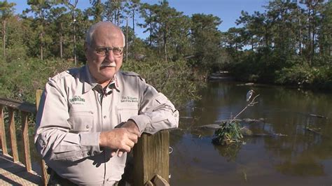 Gatorland Breeding Marsh and Bird Rookery - YouTube