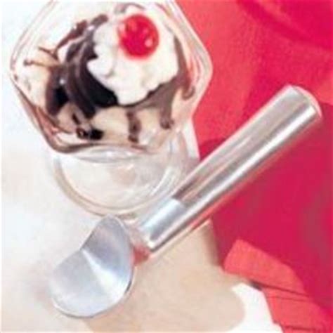 Pampered Chef Ice Cream Scoop Reviews – Viewpoints.com