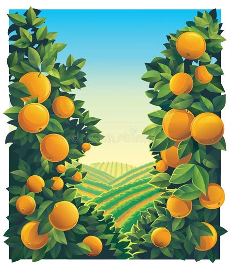 Orchard Stock Illustrations – 8,534 Orchard Stock Illustrations ...