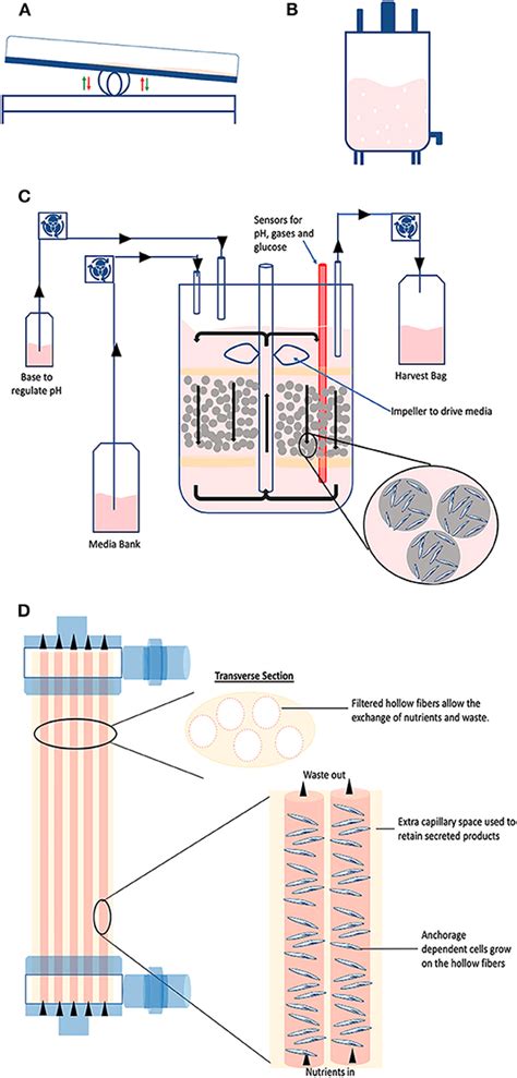 Large-Scale Cell Culture Services - Creative Bioarray