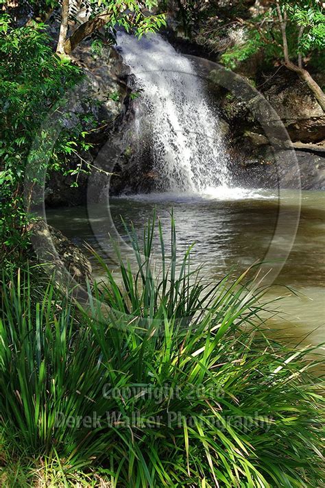 The popular swimming hole at the top of Kondalilla Falls, inside the ...