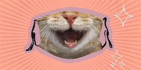 10 Cute Cat Face Masks For Cat Lovers - DodoWell - The Dodo