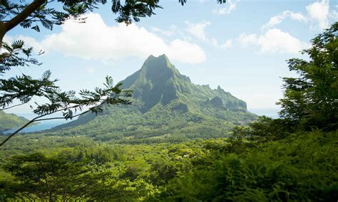 Moorea Hiking, The Pass of the Three Pines | Tahiti.com