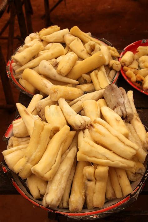 Cooked manioc stock photo. Image of healthful, lunch - 17613962