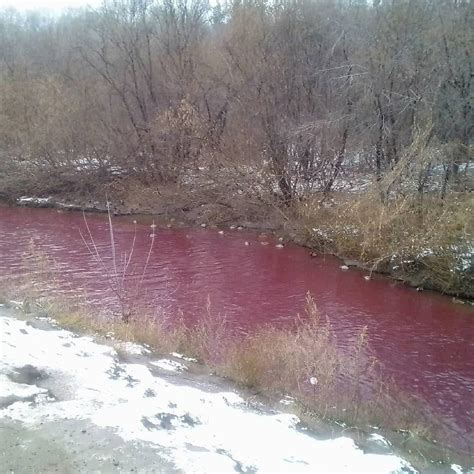 Red River Russia| 'Looks like Borscht': Russia's Iskitimka river turns ...