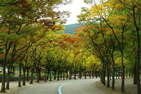 A Day at Seoul Grand Park - Meeting Seoul's seniors and little ones - The Travelling Squid