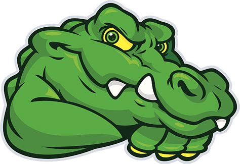 Gator Mascot Illustrations, Royalty-Free Vector Graphics & Clip Art - iStock