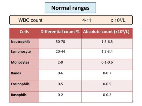 What Is The Normal Range For A White Blood Cell Count - Forex Trading Guide, Tips and References