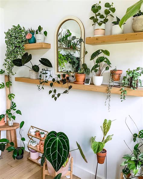 12 Ways to Arrange Your Perfect Indoor Plant Shelf - Domino