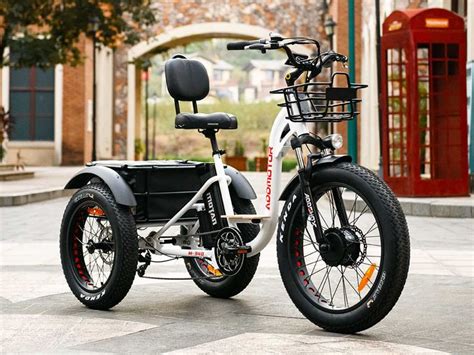 M-340 Electric Fat Trike【Offer Is Valid Until February 5】 | Electric trike, Tricycle, Electric ...