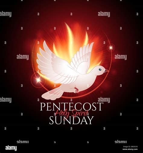 Greeting card or banner to Pentecost Sunday with flame and holy spirit dove. Catholics and ...