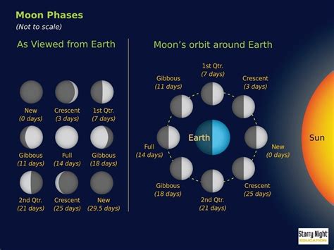 Moon Phases from Earth | pmonaghan | Flickr