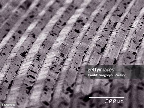 205 Vinyl Record Grooves Stock Photos, High-Res Pictures, and Images - Getty Images