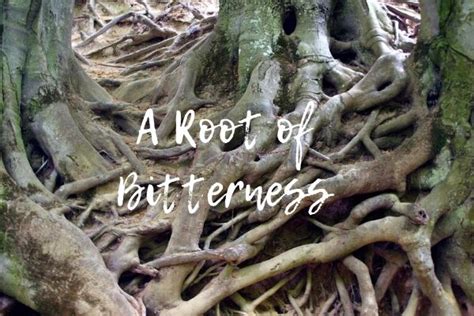 A Root of Bitterness | NEW BEGINNINGS CHRISTIAN CHURCH | GOLD COAST