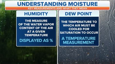 Dew point vs. humidity: Which one is a better measure of how muggy the air feels? | Fox Weather