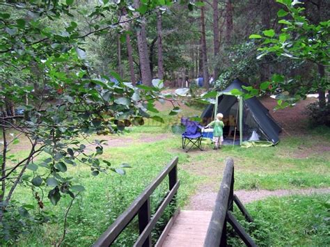 Rothiemurchus Camping Caravan Park , Aviemore Campsites, Inverness-Shire