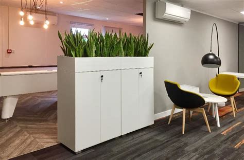 Maintained Storage-top Plant Displays for Offices • Inleaf