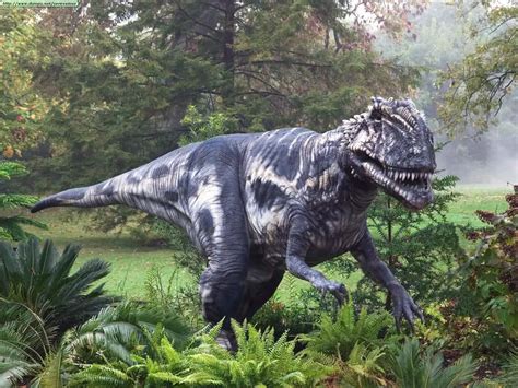 Megalosaurus - Facts and Pictures