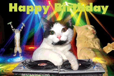 Happy Birthday Cats Gifs