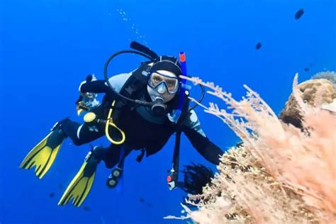 Air Integrated Dive Computer or Not? - Scuba Diving Gear