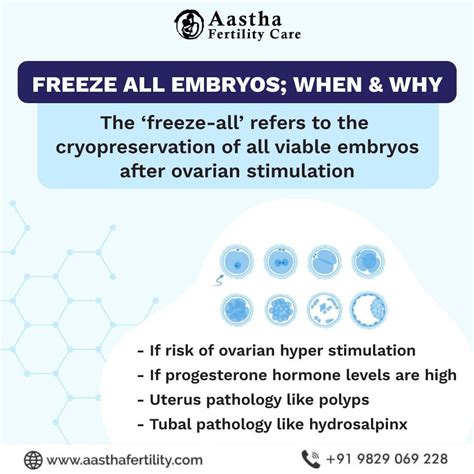 What Is Embryo Cryopreservation, and Is It Right For You? - Aastha Fertility Center