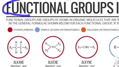 Alcohol functional group - bezydw