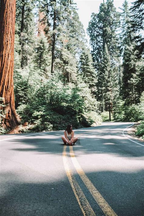 Sequoia National Park In One Day: The Best Itinerary for a Stunning ...