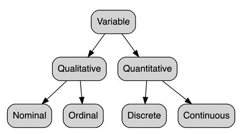 Variable types and examples. This article presents the different… | by ...