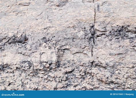 Conglomerate stock photo. Image of geological, construction - 38161568